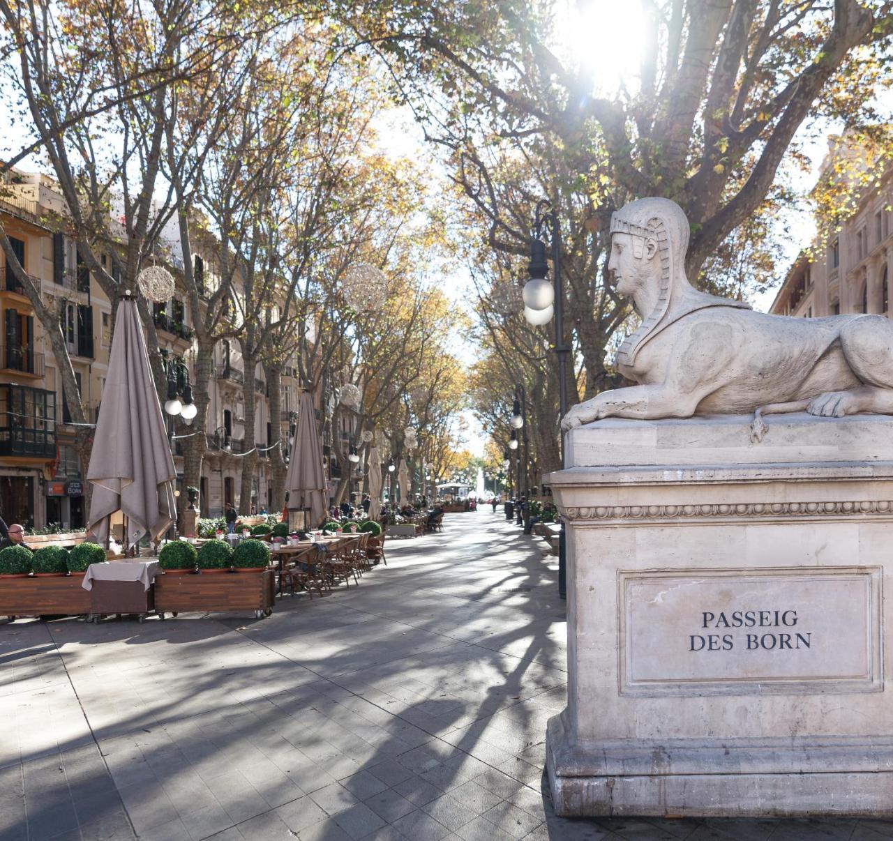 Fil 4* Palma di Maiorca